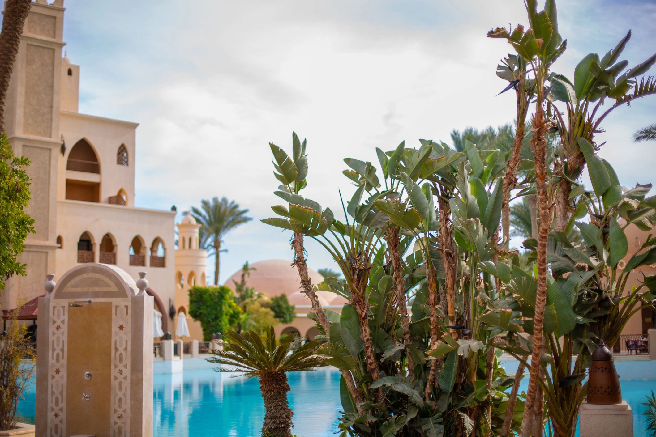 Resort swimming pool surrounded by palm trees